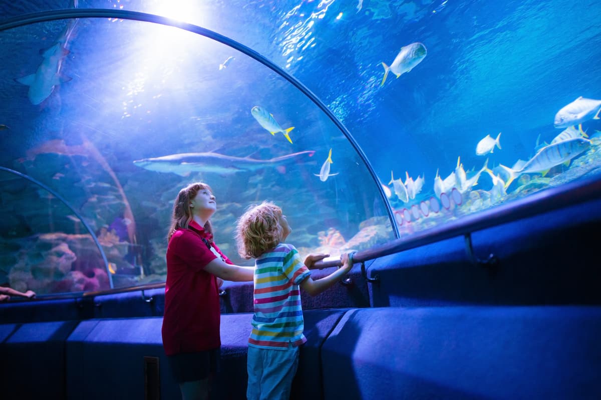 Underwater tunnel at a Phuket aquarium attraction