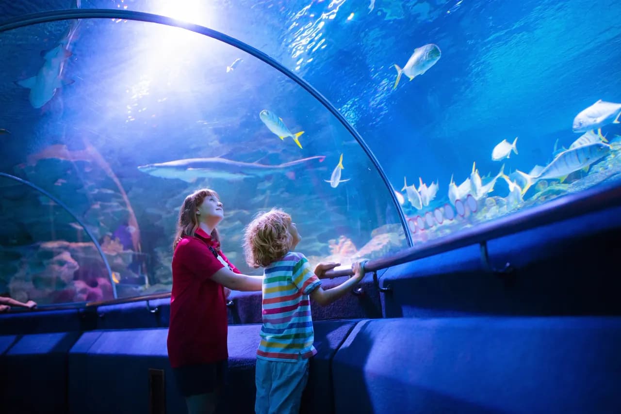 Underwater tunnel at a Phuket aquarium attraction