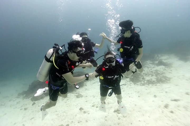 Discover Scuba Diving 3 Dives Racha Islands - 3