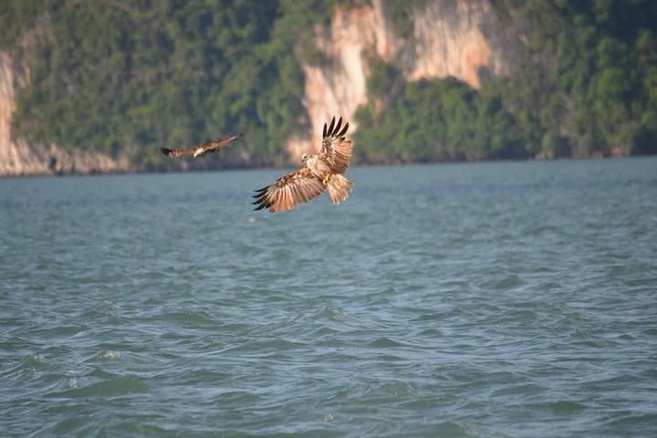 John Gray's Adventure Hong by Starlight in Phang Nga Bay - 4
