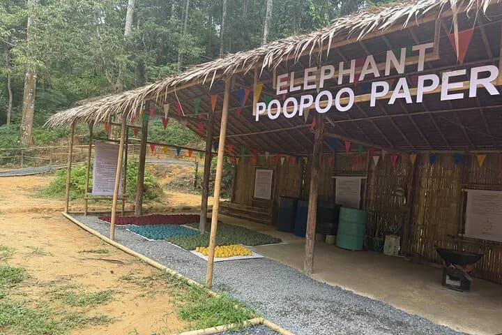 Half day with Elephants at Patong Elephant Hug (No ride No trick) - 3