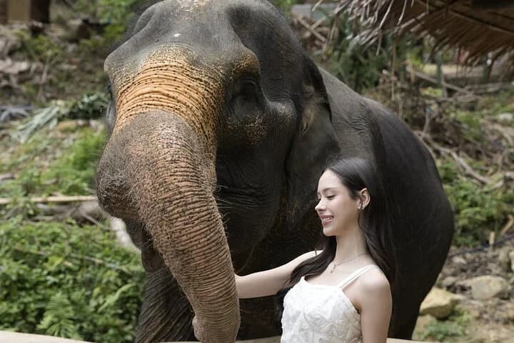 Half day with Elephants at Patong Elephant Hug (No ride No trick) - 5
