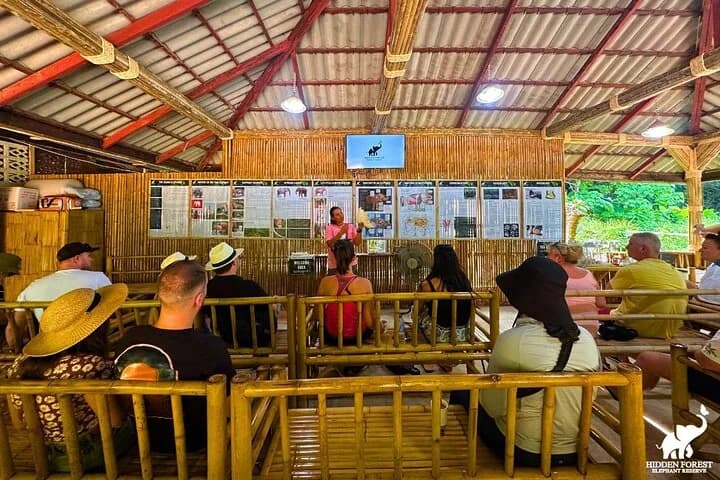 Phuket: Hidden Forest Elephant Reserve Guided Tour with Lunch - 5