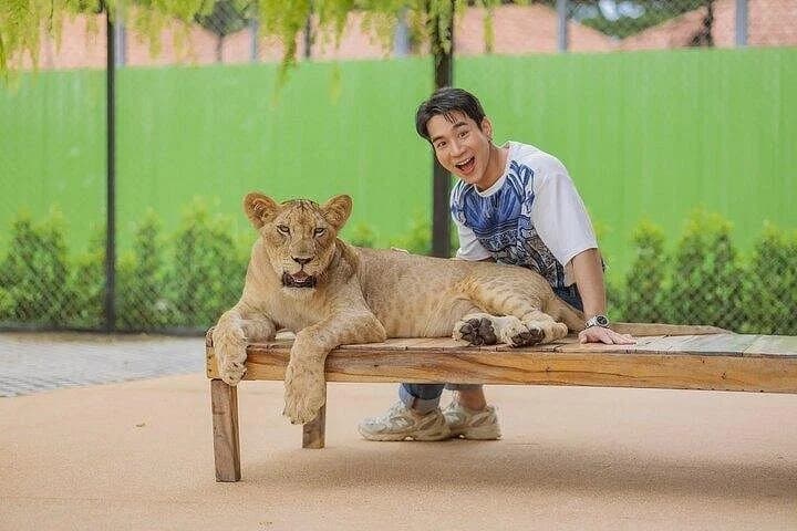 Lion Land Phuket Entry Ticket with Private Hotel Transfer - 3