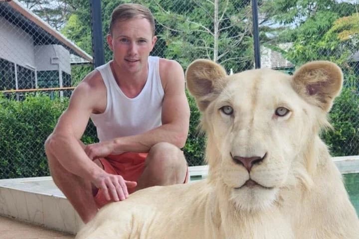 Lion Land Phuket Entry Ticket with Private Hotel Transfer - 4