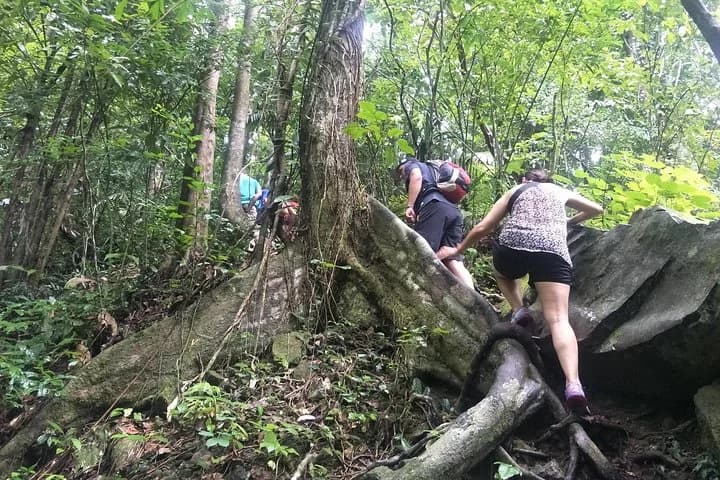 Small-Group Jungle Hiking Excursion in Khao Phra Teaw Park - 2