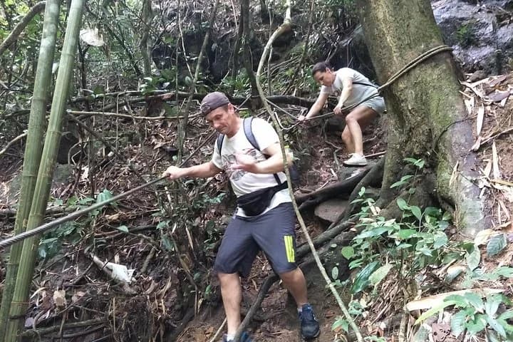 Small-Group Jungle Hiking Excursion in Khao Phra Teaw Park - 3