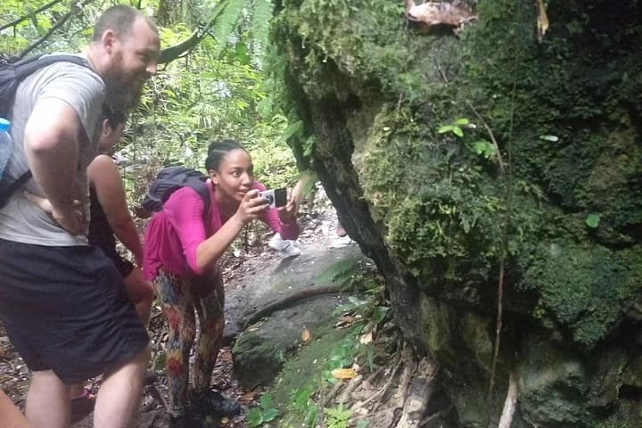 Small-Group Jungle Hiking Excursion in Khao Phra Teaw Park - 4