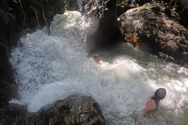 Small-Group Jungle Hiking Excursion in Khao Phra Teaw Park - 5