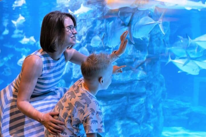 Aquaria Phuket Ticket - 5
