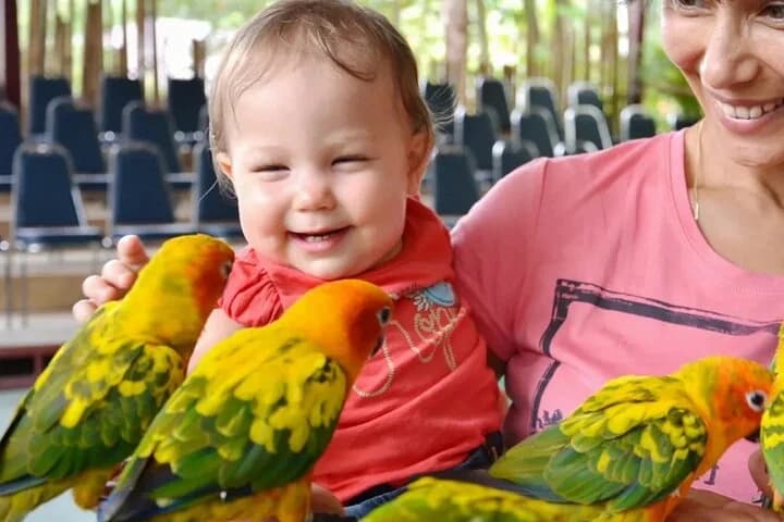 Phuket Bird Park Admission Ticket - 3