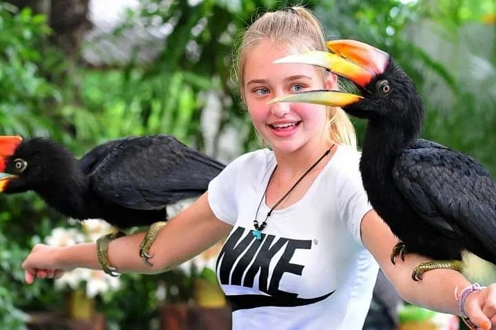 Phuket Bird Park Admission Ticket - 4