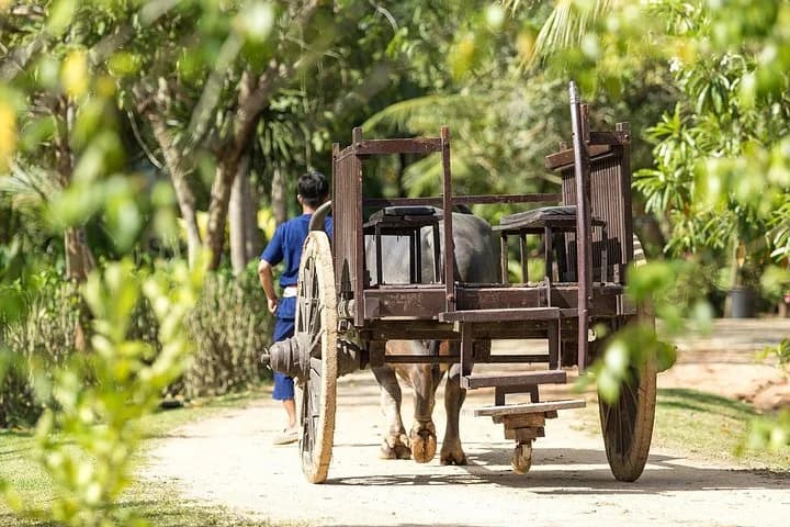 Old Phuket Farm Ticket - Countryside Local Life Culture - 5
