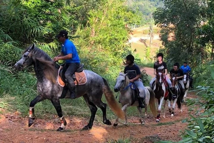 Horseback Riding 1 hour trail - 2