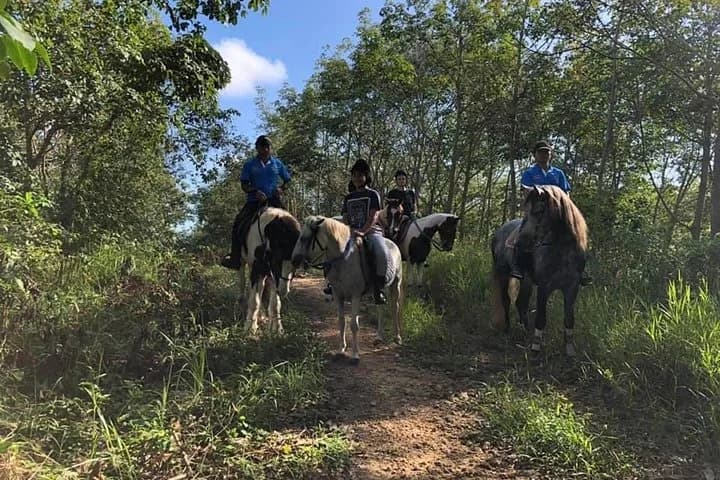 Horseback Riding 1 hour trail - 4