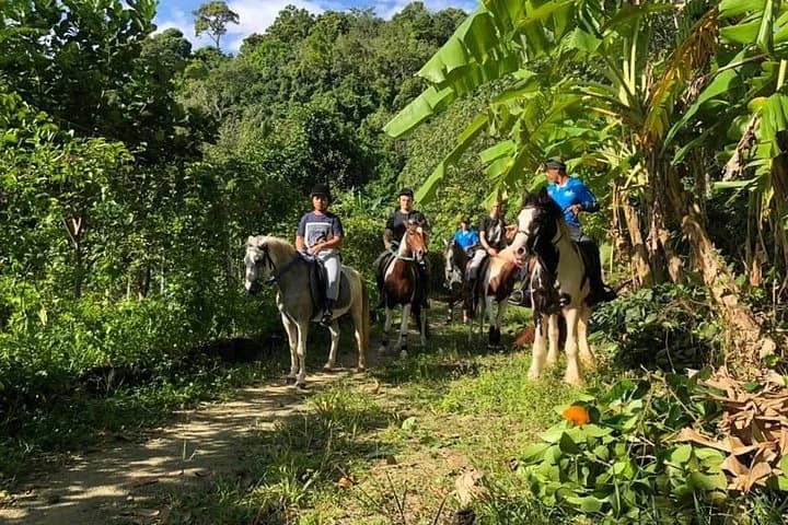 Horseback Riding 1 hour trail - 5
