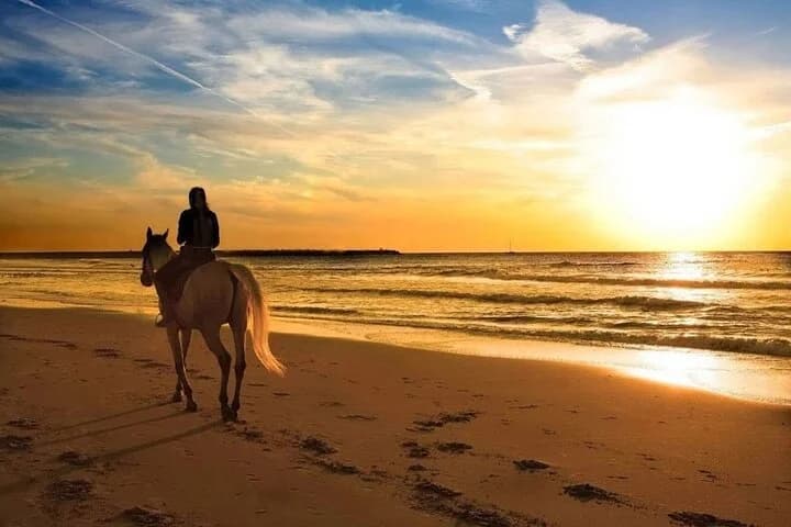 Beach Horse Riding At Sunset In Phuket - 2