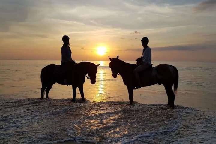 Beach Horse Riding At Sunset In Phuket - 5