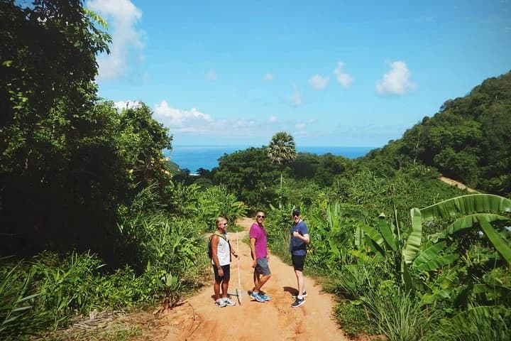Big Buddha Jungle Trekking and Temple tour with Lunch - 3