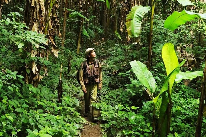 Phuket Jungle Trekking Experience at Khao Phra Taew National Park - 2
