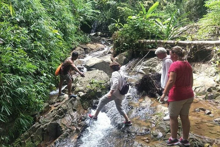 Phuket Jungle Trekking Experience at Khao Phra Taew National Park - 3