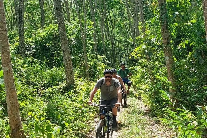 Half-Day Countryside Cycling Small-group Tour in Phuket - 4