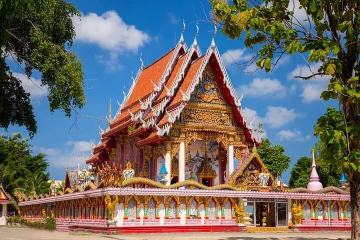 Phuket Giant Water Lilies & Temple Tour - Private & All-Inclusive - 4