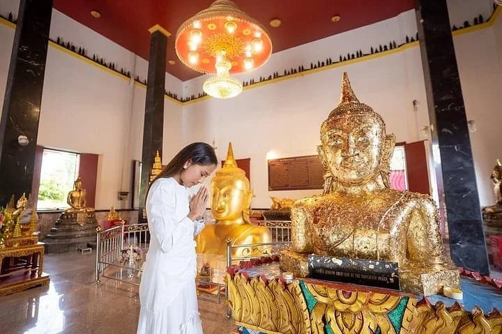 Phuket Giant Water Lilies & Temple Tour - Private & All-Inclusive - 5