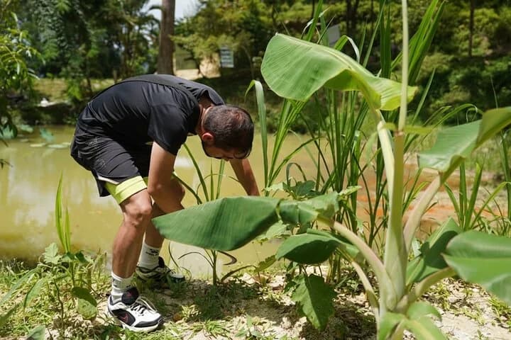 Phuket Elephant Learning and Tree Planting Experience - 5