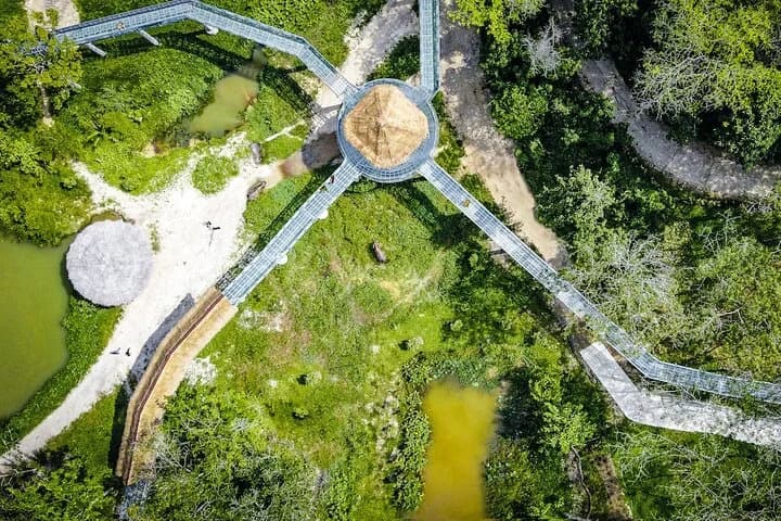 Phuket Elephant Sanctuary Canopy Walkway Tour - 5
