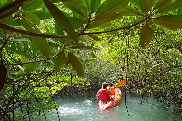 4-Waters Eco-Adventure Trip from Phuket Including Lunch - 5