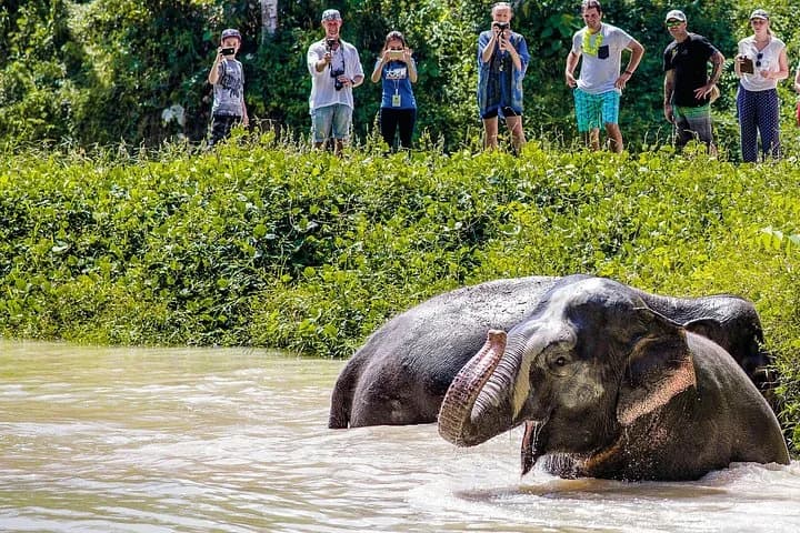 An Afternoon with the Elephants at Phuket Elephant Sanctuary - 3