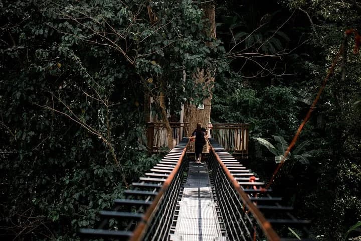World B+ (Zipline 18 Platforms + Roller + Sky Walk with World Set Menu ) - 5