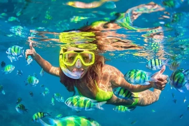 Phi Phi and Khai Islands Snorkeling Tour with Lunch by Speedboat - 5