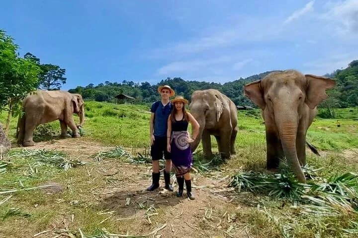 Phuket City Tour & Elephant Sanctuary – Town, Temple, Food & View - 2