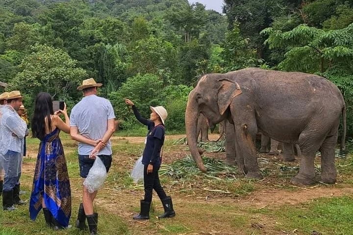 Phuket City Tour & Elephant Sanctuary – Town, Temple, Food & View - 3