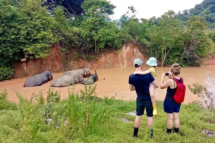 Phuket City Tour & Elephant Sanctuary – Town, Temple, Food & View - 4