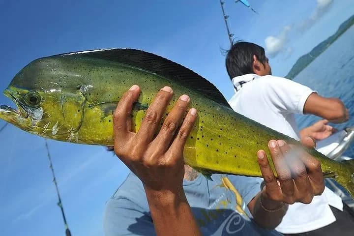 Ultimate Full-Day Big Game Fishing & Trolling Tour - 5