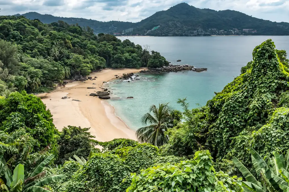 Jungle trailhead path leading down to Freedom Beach Phuket in Karon