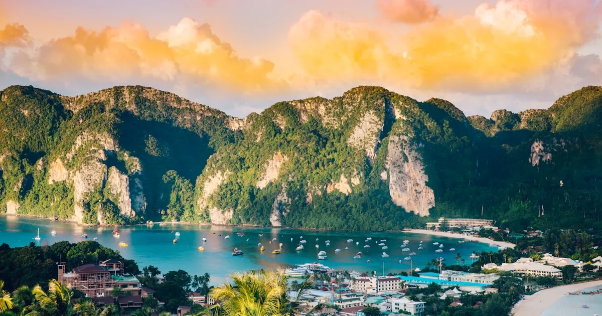 Family watching elephants at an ethical elephant sanctuary in Phuket with lush green jungle